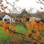 Het Bakhuis Bed and Breakfast 3*