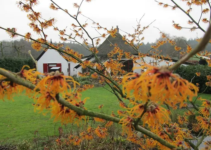 Het Bakhuis Bed and Breakfast 3*