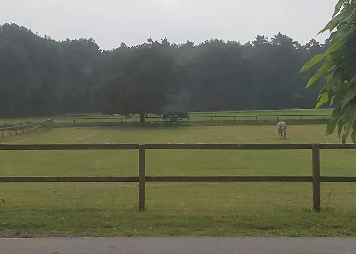 Het Bakhuis Bed and Breakfast